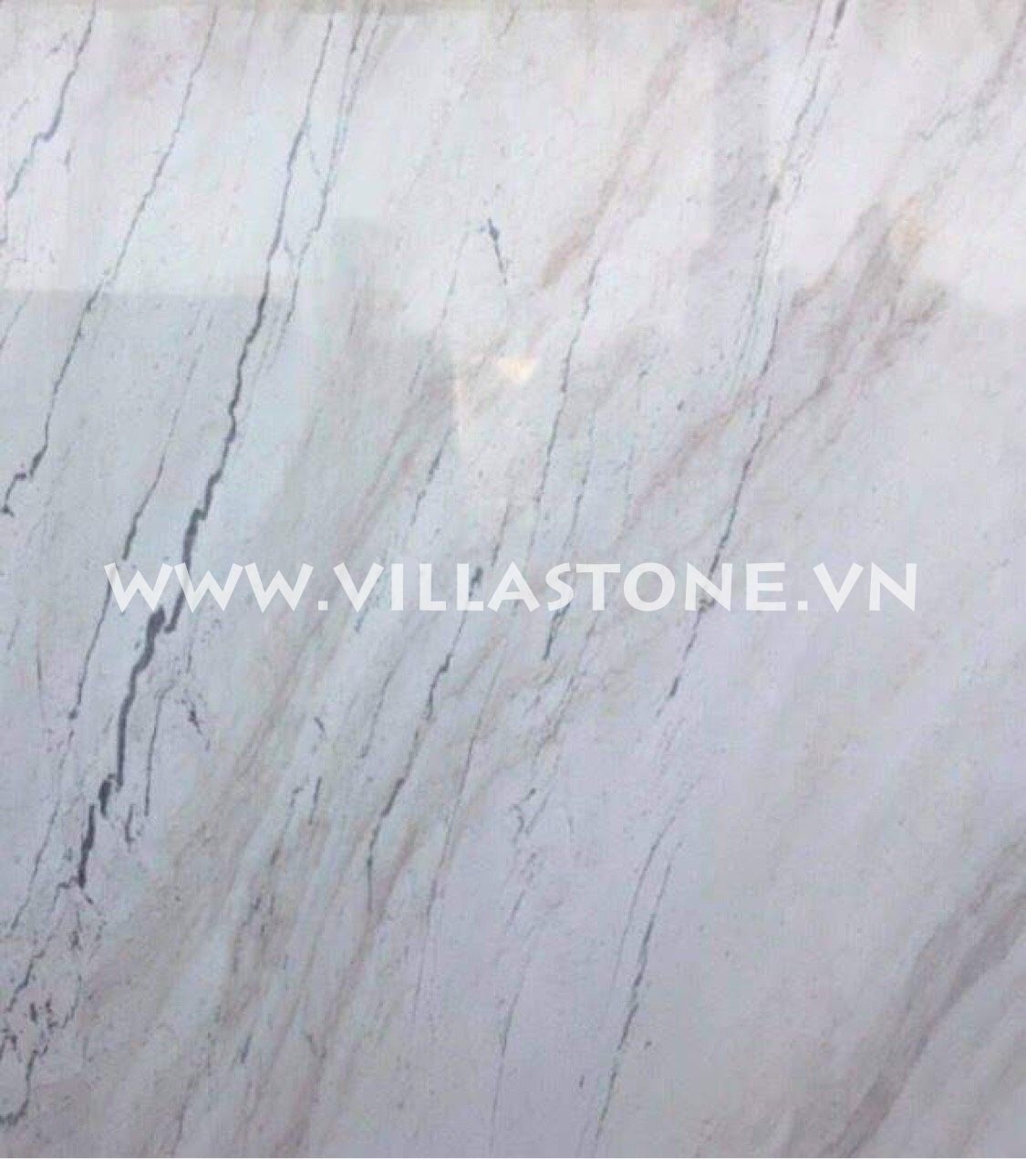 ATHEN WHITE DOLOMITE