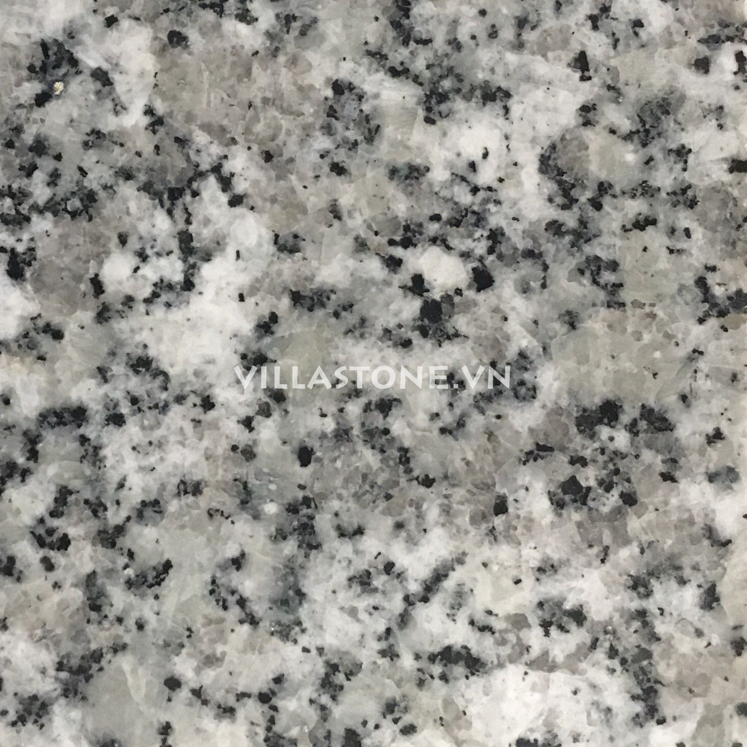 ROSA LIGHT GREY GRANITE - POLISHED