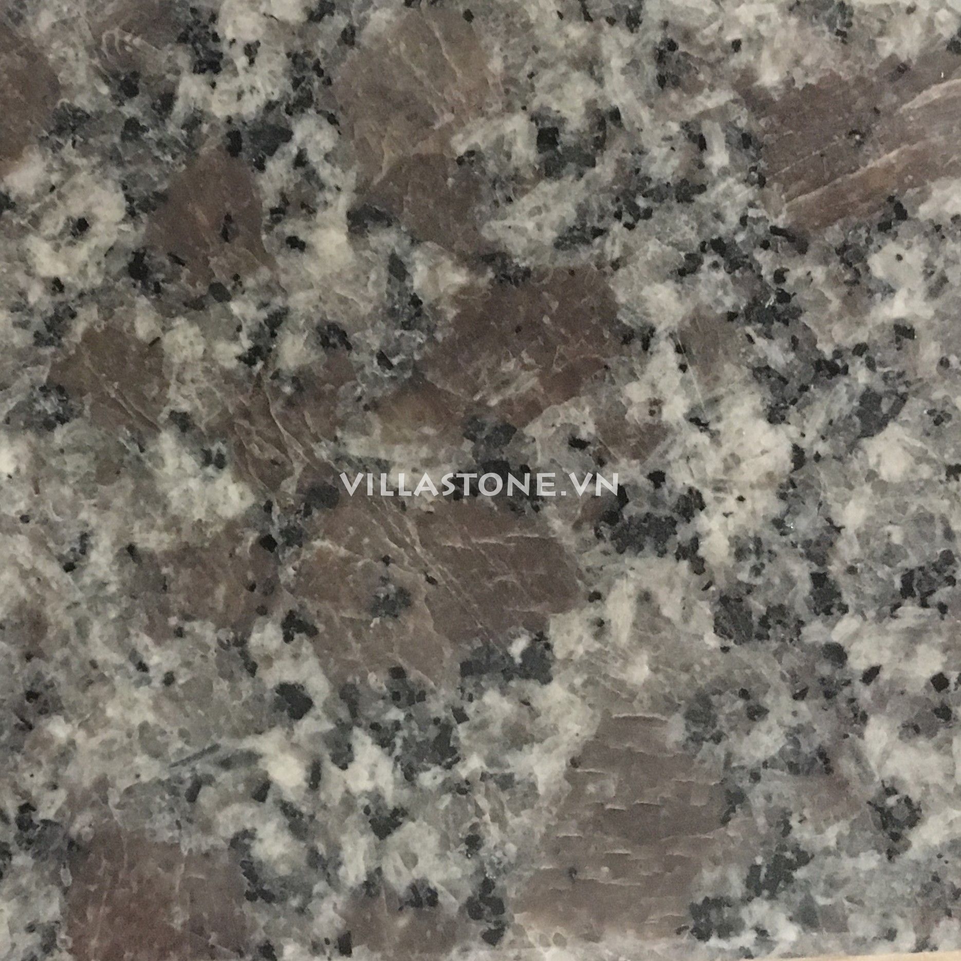 ROSA VIOLET GRANITE - POLISHED