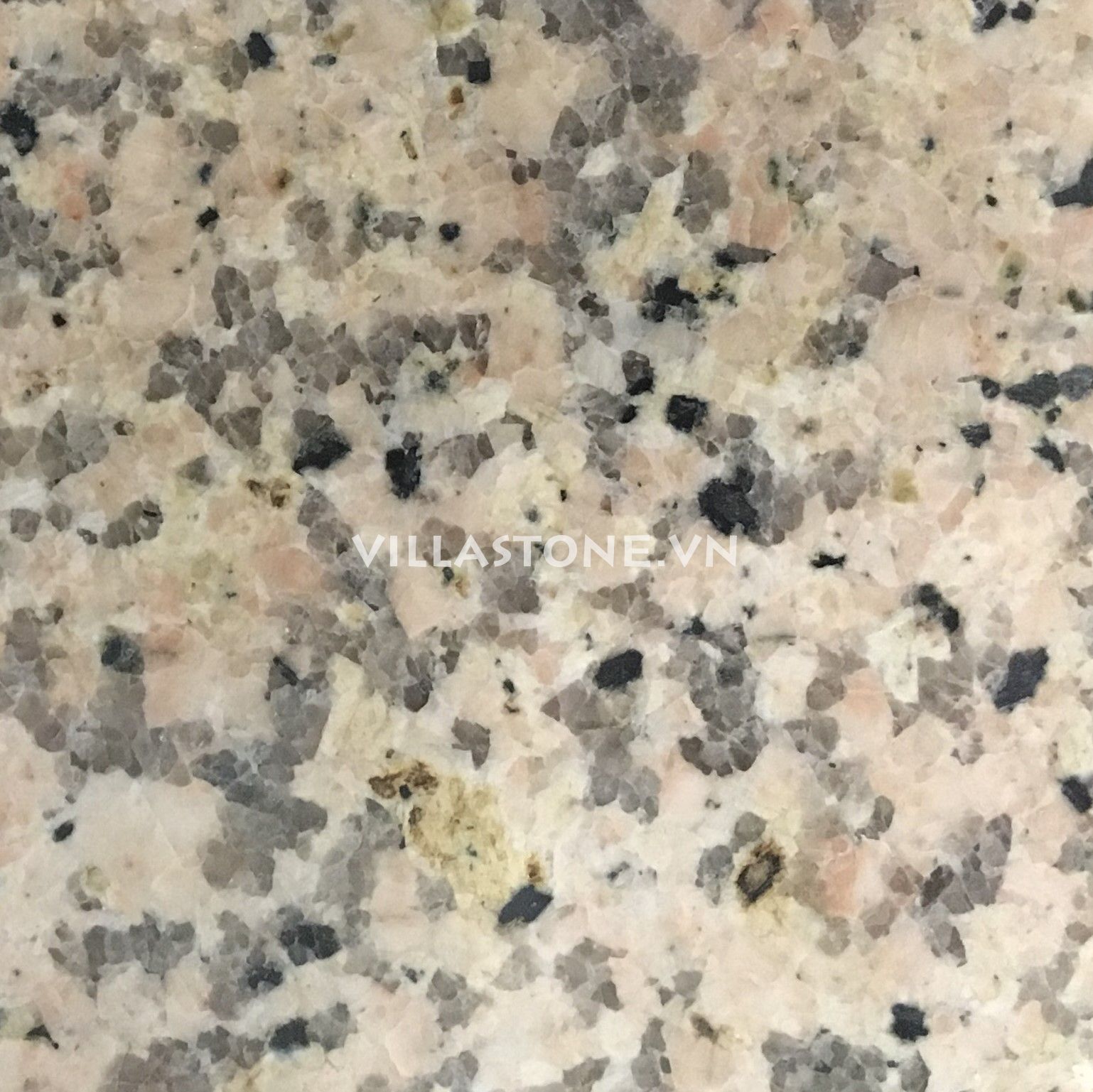 ROSA YELLOW GRANITE - POLISHED